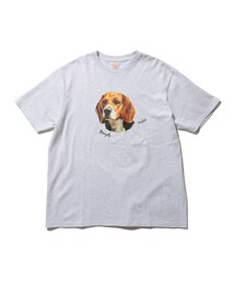SCREEN STARS | 【別注】SCREEN STARS / Print T-shirts(Tシャツ/カットソー)