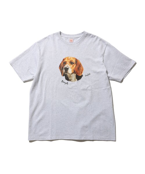 SCREEN STARS（スクリーンスターズ）の「【別注】SCREEN STARS / Print T-shirts（Tシャツ/カットソー・メンズ・ホワイト/チャコールグレー/ライトグレー/サックスブルー・M/L/XL/S）」の3枚目の写真