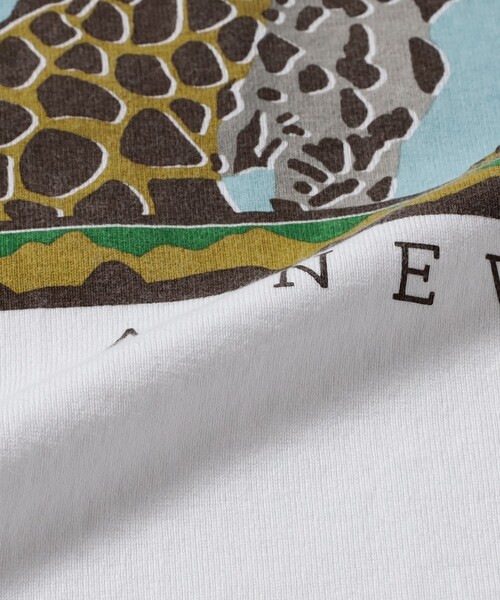 SCREEN STARS（スクリーンスターズ）の「【別注】SCREEN STARS / Print T-shirts（Tシャツ/カットソー・メンズ・ホワイト/チャコールグレー/ライトグレー/サックスブルー・M/L/XL/S）」の15枚目の写真