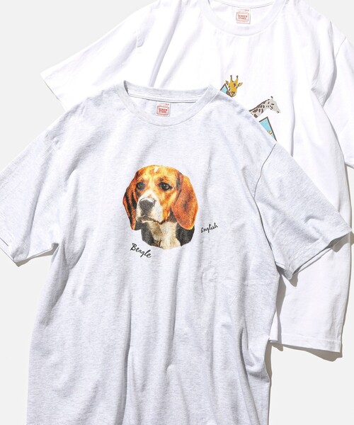 SCREEN STARS（スクリーンスターズ）の「【別注】SCREEN STARS / Print T-shirts（Tシャツ/カットソー・メンズ・ホワイト/チャコールグレー/ライトグレー/サックスブルー・M/L/XL/S）」の16枚目の写真