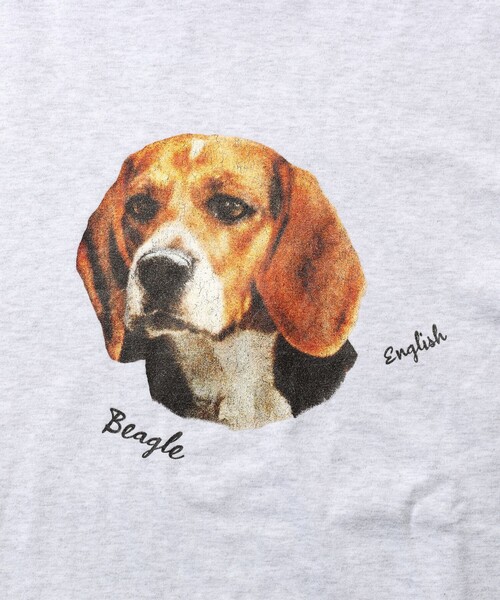 SCREEN STARS（スクリーンスターズ）の「【別注】SCREEN STARS / Print T-shirts（Tシャツ/カットソー・メンズ・ホワイト/チャコールグレー/ライトグレー/サックスブルー・M/L/XL/S）」の18枚目の写真