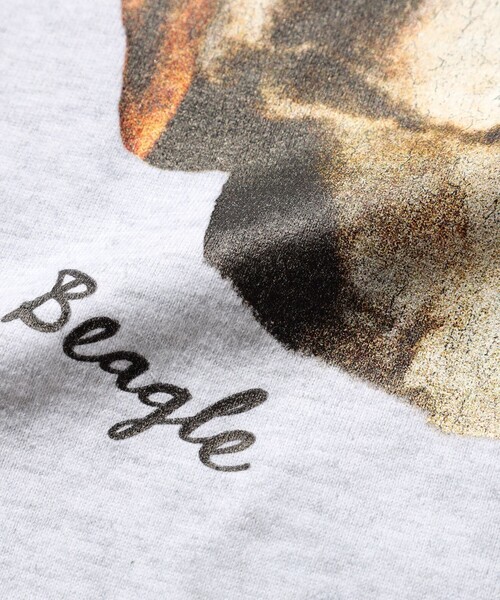 SCREEN STARS（スクリーンスターズ）の「【別注】SCREEN STARS / Print T-shirts（Tシャツ/カットソー・メンズ・ホワイト/チャコールグレー/ライトグレー/サックスブルー・M/L/XL/S）」の19枚目の写真