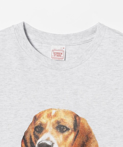 SCREEN STARS（スクリーンスターズ）の「【別注】SCREEN STARS / Print T-shirts（Tシャツ/カットソー・メンズ・ホワイト/チャコールグレー/ライトグレー/サックスブルー・M/L/XL/S）」の21枚目の写真