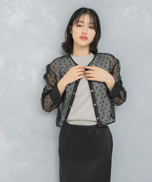 URBAN RESEARCH ROSSO WOMEN(アーバンリサーチ ロッソ)の「シアーメッシュドットプルオーバー(その他トップス・レディース・オフホワイト/ブラック・FREE)」の2枚目の写真