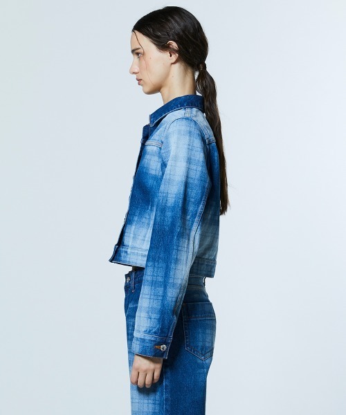 DOUBLE STANDARD CLOTHING(ダブルスタンダードクロージング)の「12.5oz ユーズドチェック デニムジャケット(デニムジャケット・レディース・インディゴブルー・38/36)」の3枚目の写真