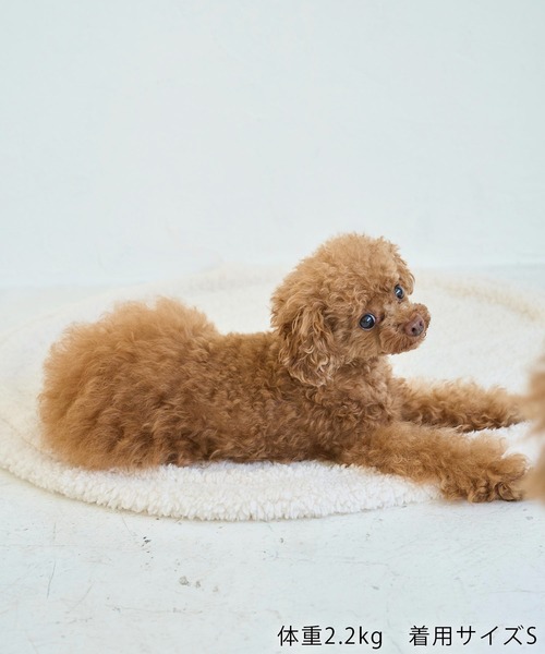 ROPE' PICNIC（ロペピクニック）の「【DOG】ロップイヤーうさみみパーカー（ペットウェア・レディース・キナリ/ピンク・L/S/M/D）」の19枚目の写真