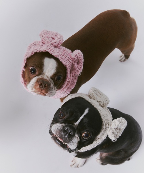 関税送料込 sticky zoo グレーの子犬 スマホケース ニット帽 セール】2WAY犬用ニット帽（その他ペットグッズ）｜GAB GAB