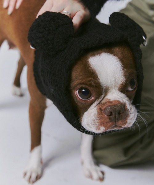 2WAY犬用ニット帽（その他ペットグッズ）｜GAB GAB（ガブガブ