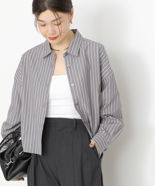 journal standard L'essage(ジャーナルスタンダードレサージュ)の「CPムジ/ストライプ刺しゅうショートシャツ(シャツ/ブラウス・レディース・グレー/ベージュ/ブルー系その他・FREE)」の10枚目の写真