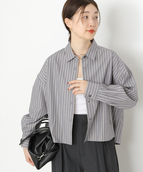 journal standard L'essage(ジャーナルスタンダードレサージュ)の「CPムジ/ストライプ刺しゅうショートシャツ(シャツ/ブラウス・レディース・グレー/ベージュ/ブルー系その他・FREE)」の11枚目の写真