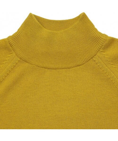 sortie（ソルティ）の「Extrafine Merino Wool Mock-neck (Mustard)（ニット/セーター・メンズ・その他・LARGE/MEDIUM/X-LARGE）」の2枚目の写真