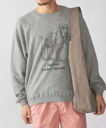 SHIPS: ドッグ プリント スウェット ロングスリーブ