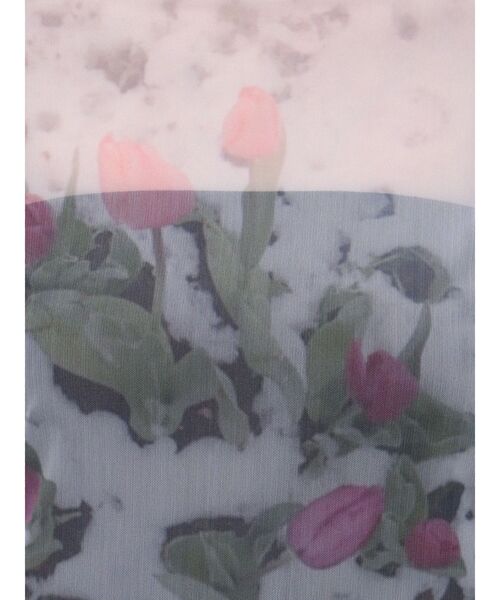 merry jenny（メリージェニー）の「flowerシアーメッシュtops（Tシャツ/カットソー・レディース・オフホワイト/ピンク/グリーン・FREE）」の10枚目の写真