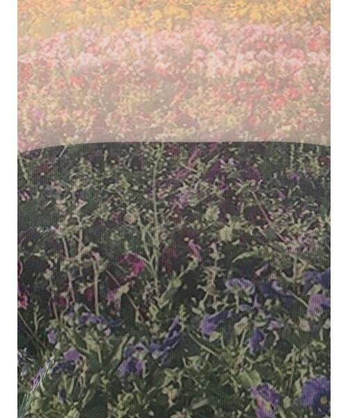 merry jenny（メリージェニー）の「flowerシアーメッシュtops（Tシャツ/カットソー・レディース・オフホワイト/ピンク/グリーン・FREE）」の9枚目の写真