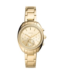 FOSSIL(tHbV)̃tHbV rv fB[X AiO XeX BQ3658(AiOrv)