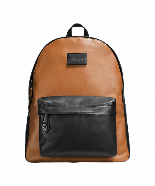COACH(コーチ)の「キャンパス バックパック スポーツ カーフ レザー(バックパック/リュック・メンズ・ブラウン系その他・フリ-)」の1枚目の写真