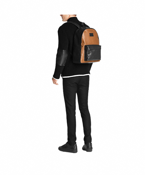 COACH(コーチ)の「キャンパス バックパック スポーツ カーフ レザー(バックパック/リュック・メンズ・ブラウン系その他・フリ-)」の5枚目の写真