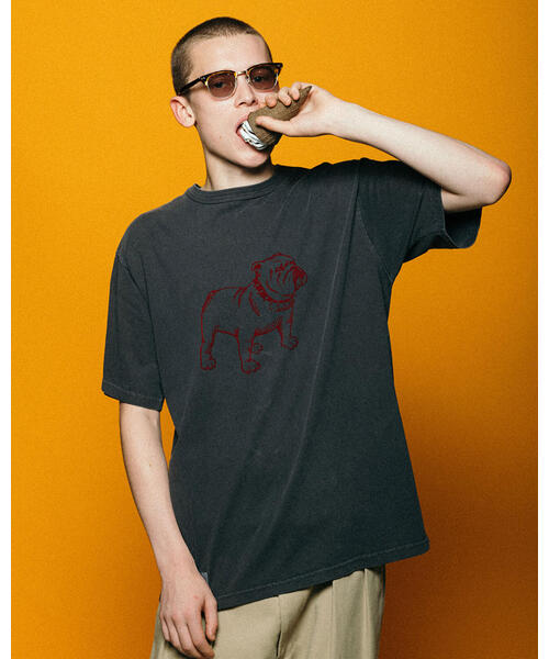 Schott(ショット)の「Schott/ショット/PIGMENT T-SHIRT FLOCKY BULLDOG/ピグメント Tシャツ フロッキーブルドッグ(Tシャツ/カットソー・メンズ・ホワイト/ブラック/ベージュ・XL/L/M/2XL)」の4枚目の写真