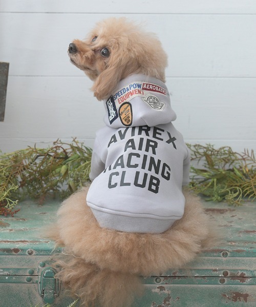 高品質 【新品未使用】犬用 ペット用 AVIREX パッチドライダース