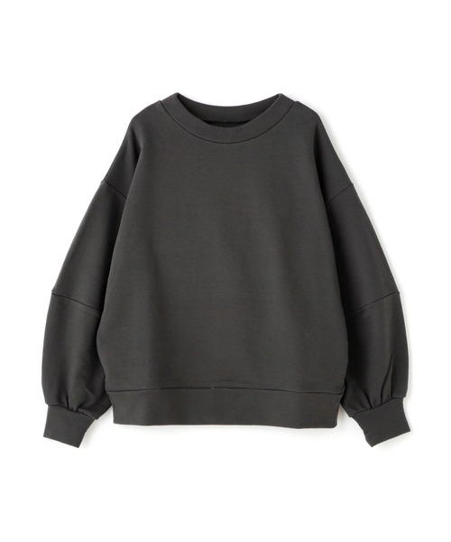 N.（N. Natural Beauty Basic）（エヌエヌナチュラルビューティーベーシック）の「◆ボリュームスリーブスウェット（スウェット・レディース・チャコールグレー/ライトベージュ・MEDIUM）」の15枚目の写真