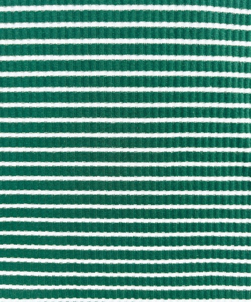 PairPair（ペアペア）の「【ペットとリンクコーデ】テレコボーダーヘンリーネックT（Tシャツ/カットソー・レディース・ネイビー/グリーン・フリー）」の10枚目の写真