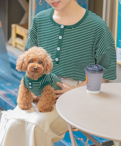 PairPair（ペアペア）の「【ペットとリンクコーデ】テレコボーダーヘンリーネックT（Tシャツ/カットソー・レディース・ネイビー/グリーン・フリー）」の20枚目の写真