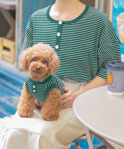 PairPair（ペアペア）の「【ペットとリンクコーデ】テレコボーダーヘンリーネックT（Tシャツ/カットソー・レディース・ネイビー/グリーン・フリー）」の21枚目の写真