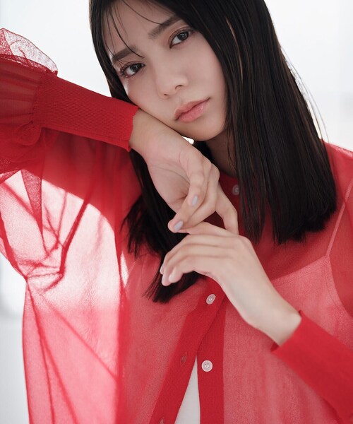 N.(N. Natural Beauty Basic)(エヌエヌナチュラルビューティーベーシック)の「◆クルーネックシアーカーディガン(カーディガン/ボレロ・レディース・ベージュ/レッド/オフホワイト・MEDIUM)」の3枚目の写真