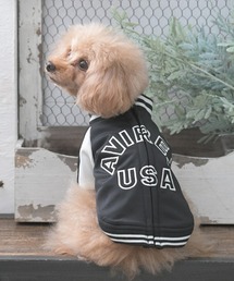 AVIREX(ABbNX)AVIREX/gbNJKTS(ybgEFA)