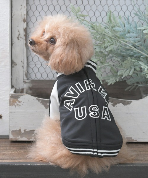 セール】AVIREX/トラックJKTロゴ（ペットウェア）｜AVIREX