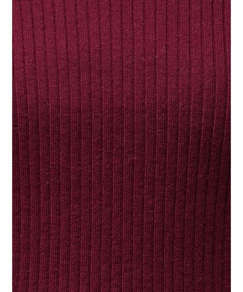 ELENDEEK(エレンディーク)の「ハイネックワイドリブニット(ニット/セーター・レディース・ブラック/レッド/オフホワイト/ライトブルー/ブラウン・FREE)」の15枚目の写真