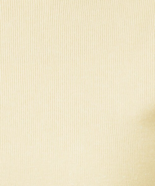 index（インデックス）の「ラメスカラップビジューデザインニット【洗濯機OK】《6col/S～LL》（ニット/セーター・レディース・サックスブルー系7/ネイビー/チャコール/ピンク系1/イエロー系その他/オフホワイト・36/38/40/42）」の17枚目の写真