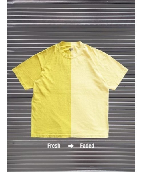 MINE（マイン）の「MINE 2026LIMITED PD COLOR | WHITE LABEL (PD COLOR)（Tシャツ/カットソー・メンズ・ライトイエロー・2/3/4）」の5枚目の写真