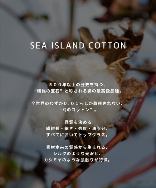 UNITED TOKYO(ユナイテッドトウキョウ)の「【幻のコットン】SEA ISLAND COTTON THERMAL HENRY LSTEE |ヘンリー/高級コットン/ヨレ防止/シワ防止/洗える/耐久性/長年着用可能(Tシャツ/カットソー・メンズ・グレイッシュベージュ/ブラック/ダークグレー/オフホワイト・1/2)」の5枚目の写真