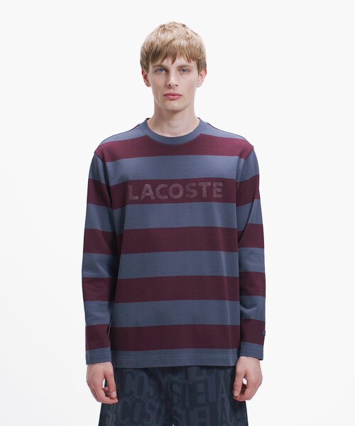 LACOSTE(ラコステ)の「テクスチャーロゴ ボーダーロングスリーブTシャツ(Tシャツ/カットソー・メンズ・アイボリー/イエロー/ダークグレー・4/3/2/5)」の2枚目の写真