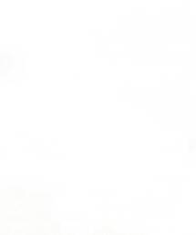 CAMBER | 別注【CAMBER / キャンバー】CREW LS TEE(FINEST)(Tシャツ/カットソー)