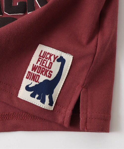 F.O.KIDS(エフオーキッズ)の「/恐竜タンクトップ(タンクトップ・キッズ・レンガ/グリーン/チャコール・100/120/95/130/140/80/110/90)」の13枚目の写真