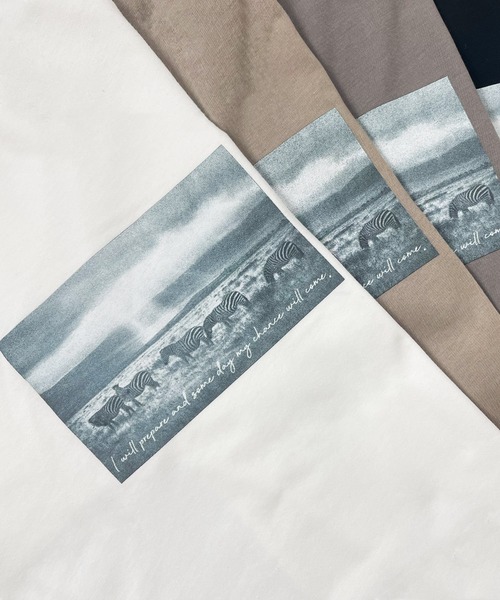Fizz（フィズ）の「【Fizz/フィズ】　フォトプリントビッグロンT（Tシャツ/カットソー・レディース・グレイッシュベージュ/ベージュ/ブラック/ホワイト・M）」の18枚目の写真