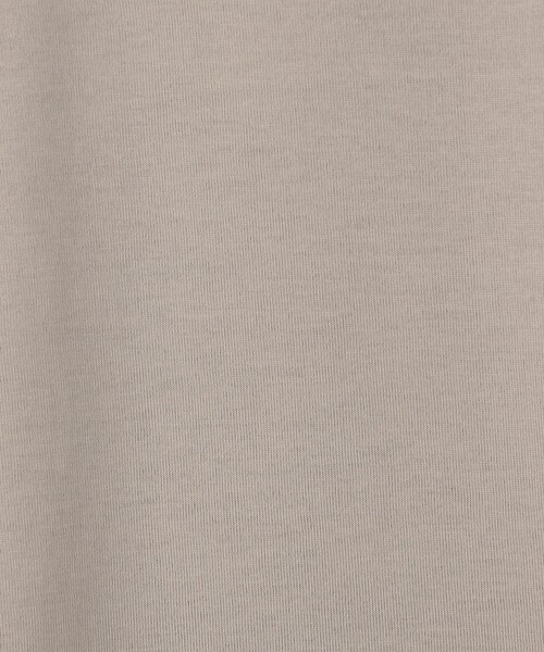 GALERIE VIE(ギャルリー ヴィー)の「ファインコットン ハーフスリーブプルオーバー(Tシャツ/カットソー・レディース・グレー/ホワイト/ブルー系その他・FREE)」の8枚目の写真