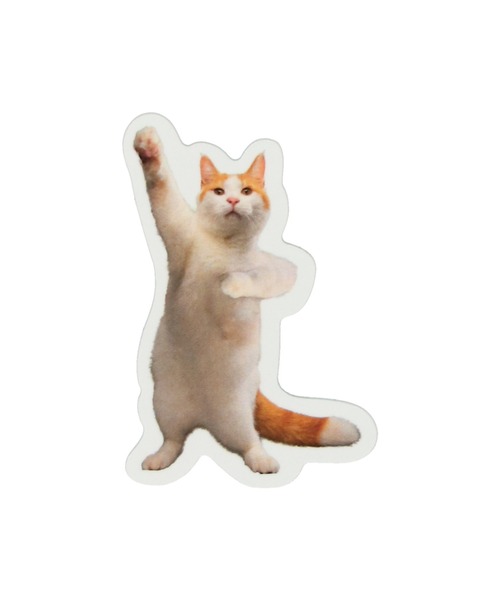 SPINNS（スピンズ）の「キャットポーズ オリジナルステッカー（ステッカー/テープ・レディース・D/A/B/C・ONESIZE）」の2枚目の写真