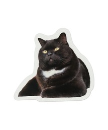 SPINNS | キャットポーズ オリジナルステッカー(ステッカー/テープ)