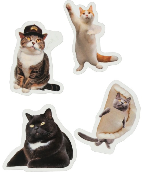 SPINNS（スピンズ）の「キャットポーズ オリジナルステッカー（ステッカー/テープ・レディース・D/A/B/C・ONESIZE）」の7枚目の写真