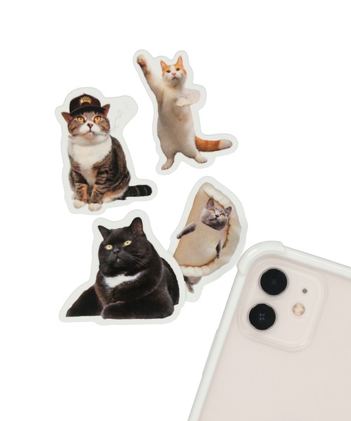 SPINNS（スピンズ）の「キャットポーズ オリジナルステッカー（ステッカー/テープ・レディース・D/A/B/C・ONESIZE）」の5枚目の写真