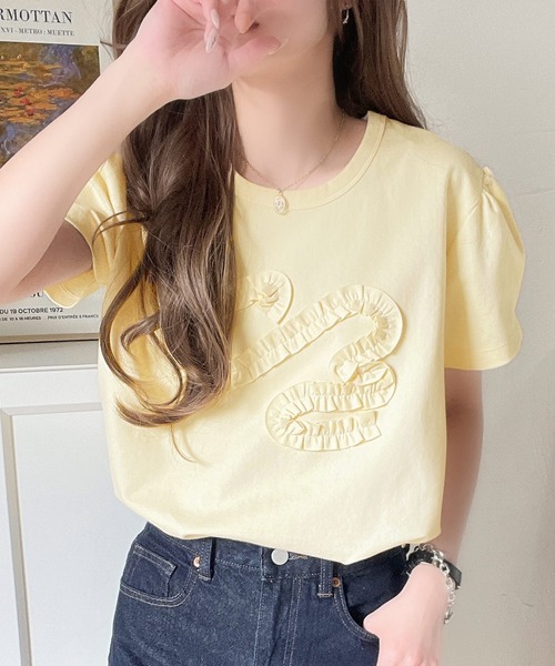 classicalelf(クラシカルエルフ)の「フリル刺繍でエレガントに。シルケット風フリル刺繍パフスリーブプルオーバー(半袖)(Tシャツ/カットソー・レディース・イエロー/ブラック/ホワイト/チャコール・X-LARGE/SMALL/MEDIUM/LARGE)」の6枚目の写真
