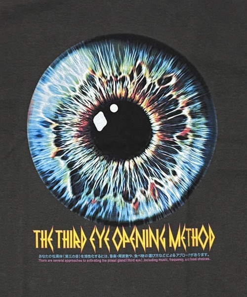 DIET BUTCHER SLIM SKIN（ダイエットブッチャースリムスキン）の「DIET BUTCHER SLIM SKIN / THE 3rd EYE BALL / ダイエットブッチャースリムスキン（Tシャツ/カットソー・メンズ・チャコールグレー/オリーブ/オレンジ・M/L/S/M）」の5枚目の写真