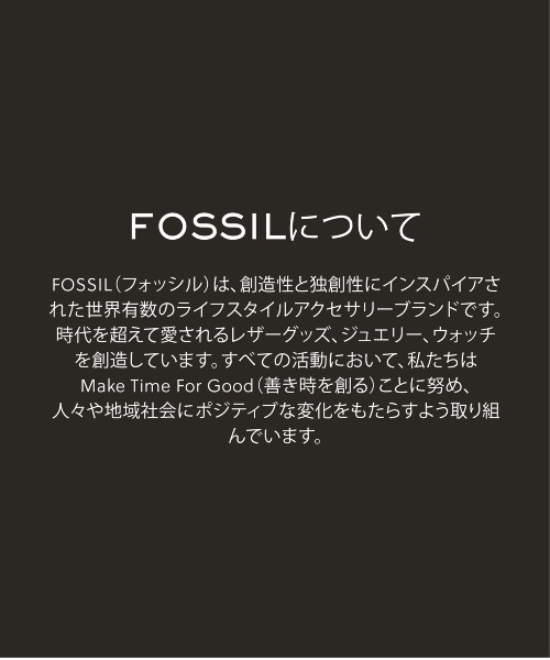 FOSSIL(フォッシル)の「フォッシル アクセサリー レディース ピアス ゴールド JF05002710(ピアス(両耳用)・レディース・ゴールド・FREE)」の12枚目の写真