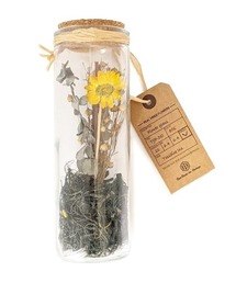 TOSSDICE / BamBooks the Heritage（トスダイス／バンブックスザヘリテイジ）の「【 TOSSDICE / トスダイス 】 DRIED PLANTS GLASS / ドライ プランツ グラス（インテリア雑貨）」