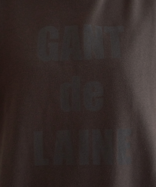 Rouge vif Anna（ルージュヴィフアンナ）の「ロゴフーディースウェット（スウェット・レディース・ベージュ/チャコールグレー・フリー）」の6枚目の写真