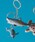bpr BEAMS�i�r�[�s�[�A�[�� �r�[���X �j�́uScience and Nature / Animal Keyring�i�L�[�z���_�[�j�v�b���̑�3
