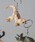 bpr BEAMS�i�r�[�s�[�A�[�� �r�[���X �j�́uScience and Nature / Animal Keyring�i�L�[�z���_�[�j�v�b���̑�7